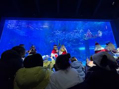 -波塞冬旅游度假区