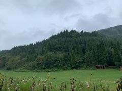 -武陵山森林公园