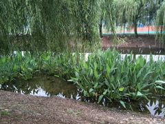 -日照职业技术学院