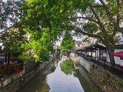 -王记海棠糕(新场古镇店)