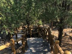 -白水寺森林公园