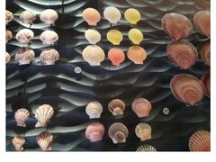 -上海自然博物馆