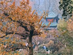 -岳麓山风景名胜区