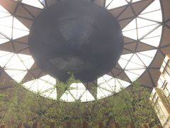 -上海滴水湖皇冠假日酒店