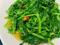 豌豆尖-嘉里饭庄
