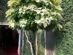 -长木花园