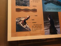 -天津自然博物馆