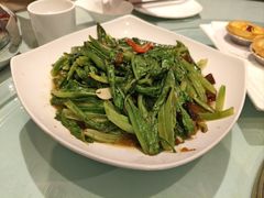 -高第街56号餐厅(宝龙店)