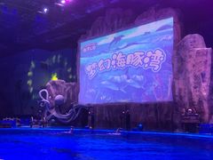 -华夏文旅海洋公园