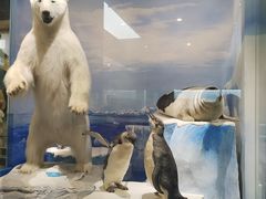 -国家自然博物馆