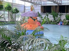 -南宫温泉水世界