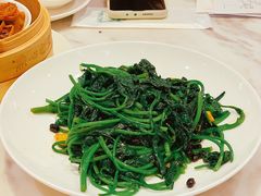 -香港百合居(LCM置汇旭辉广场店)