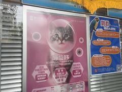 -美美宠物诊疗中心·异宠·骨科(滨江东信分院)