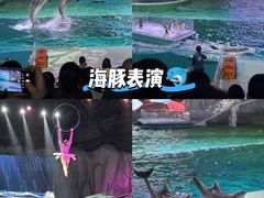 -哈尔滨极地公园