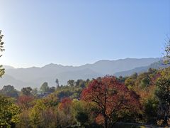-塔川景区