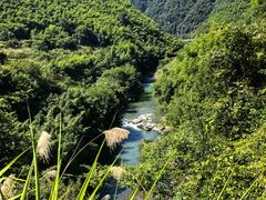 -芦茨金富饭庄·25年老字号·专做稻草鸡