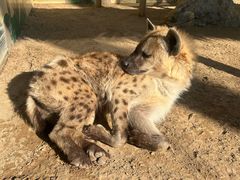 -北京野生动物园