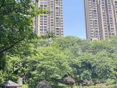 -重庆彩云湖湿地公园