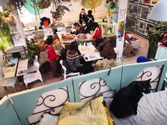 -小时光咖啡馆(北锣鼓巷店)