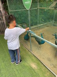 -萌宠亲子动物乐园(槐房万达店)