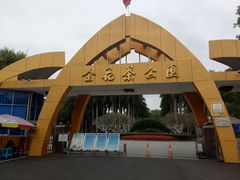 -金花茶公园
