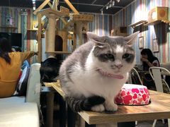-小时光咖啡馆(开森度假森林店)
