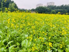 -长春公园(普阳街道)