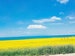 -青海湖国家重点风景名胜区