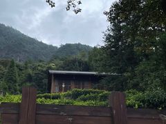 -姑婆山旅游区