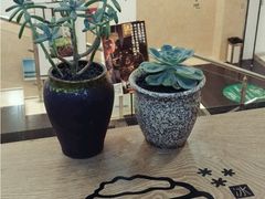 -雪花姐姐(泰华城新天地店)