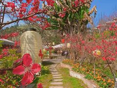 -桃源山庄·水蜜桃采摘·柴火鸡·烧烤团建(龙泉山店)