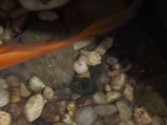 -邈墨茶馆(凤起路店)