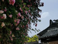 -惠山古镇·寄畅园