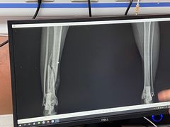 -宠颐生宠物医院·心肾内科·猫专科诊疗中心宠巢店