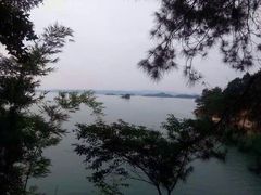 万绿湖美思威尔顿酒店-河源万绿湖美思威尔顿酒店