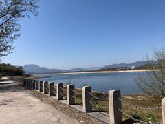 -福建鲤鱼洲酒店