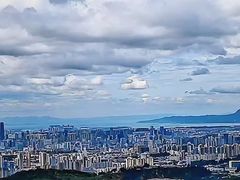-长虫山生态公园风景林