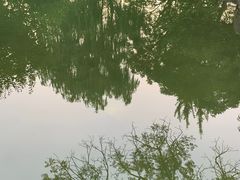 -三里河公园