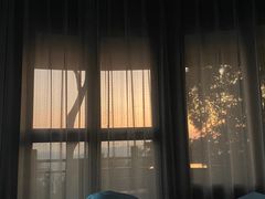 -三亚亚龙湾人间天堂鸟巢度假村