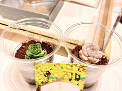 -星巴克臻选(广州太古汇店)