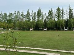 -前小桔亲子创意农场·草莓采摘·露营烧烤