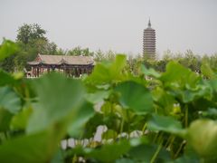 -西海子公园