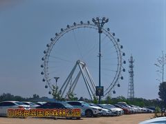 -日照海滨国家森林公园