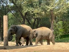 -北京野生动物园