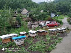 -云岫谷自然风景区