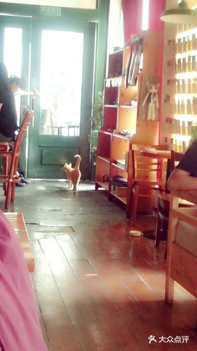 三楼上的猫咖啡馆(山师东路店)android_upload_pic图片