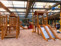 -南宫五洲植物乐园