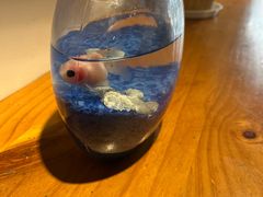 -参差咖啡(水果湖公园店)