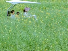 -光明小镇欢乐田园