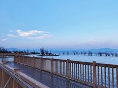 -洱海月湿地公园